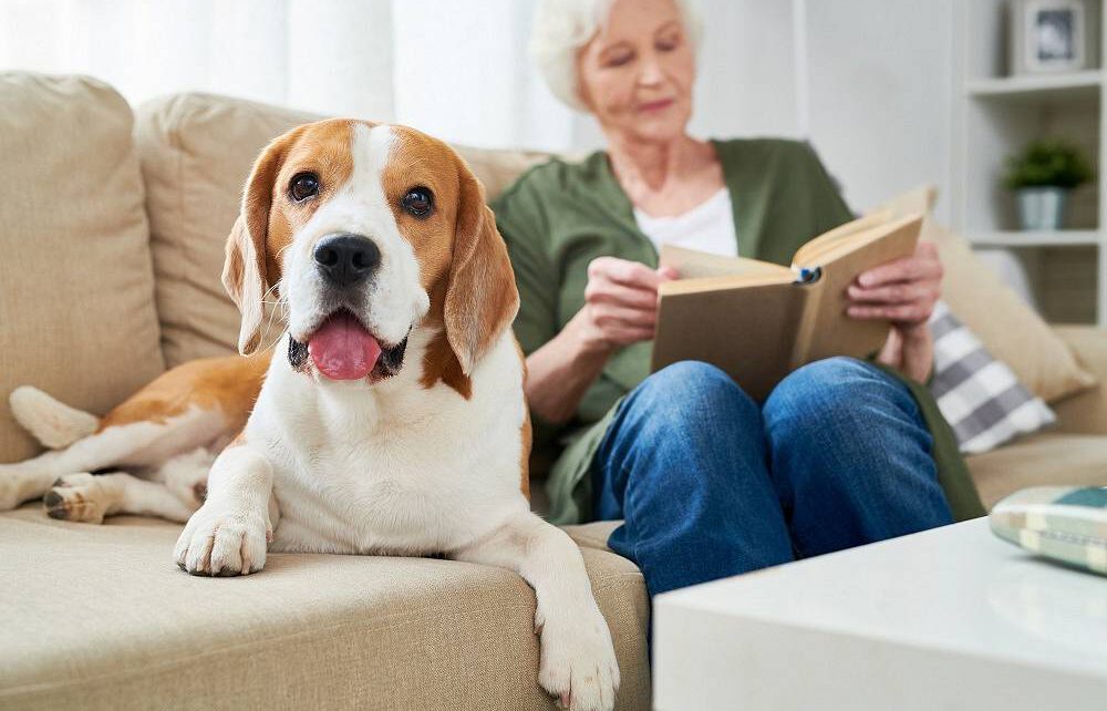 Starsza kobueta czyta książkę na kanapie obok swojego psa