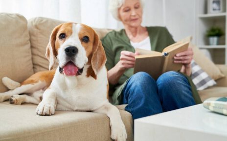 Starsza kobueta czyta książkę na kanapie obok swojego psa